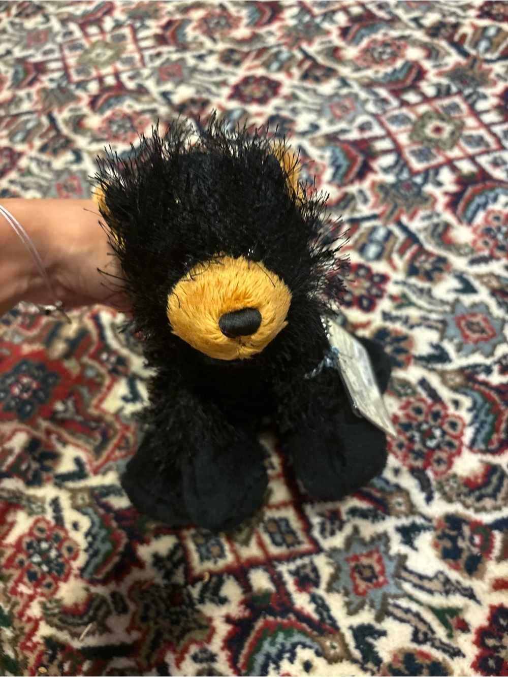 Webkinz Black bear